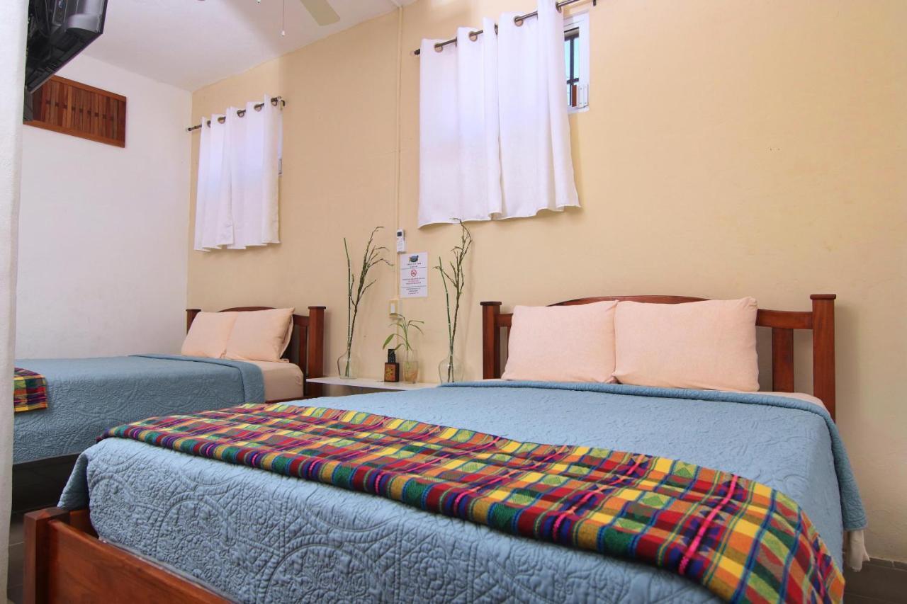 Rainforest Haven Inn San Ignacio Buitenkant foto